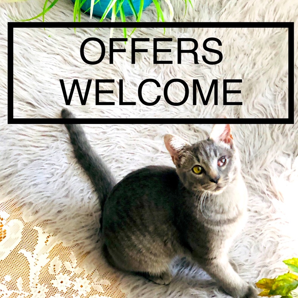All Offers Are Welcome! BUNDLE & SAVE!